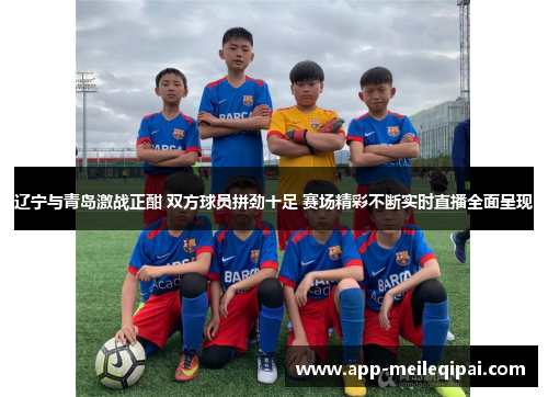 辽宁与青岛激战正酣 双方球员拼劲十足 赛场精彩不断实时直播全面呈现